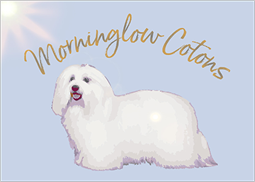 Fluffy Acres Cotons